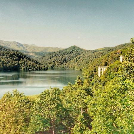 Goy Gol Lake Resort Goygol Dış mekan fotoğraf