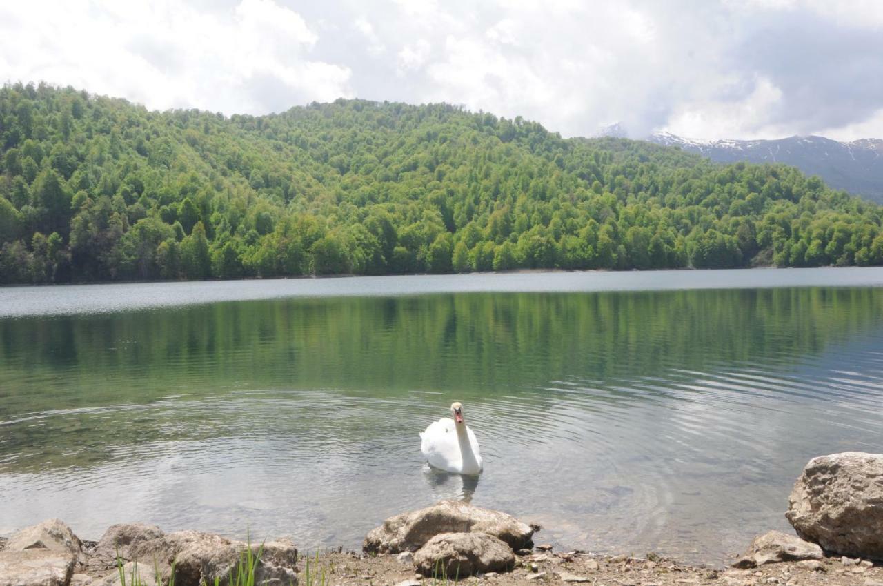 Goy Gol Lake Resort Goygol Dış mekan fotoğraf